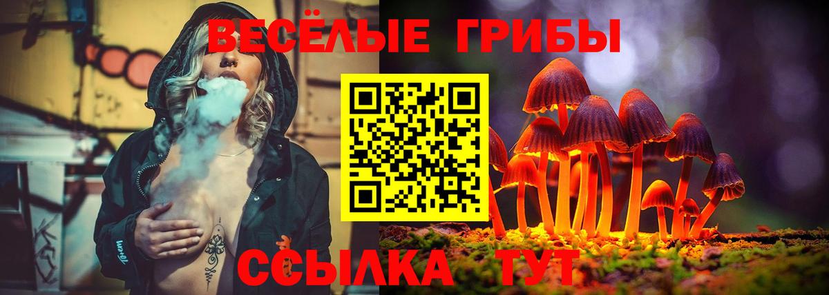 Галлюциногенные грибы GOLDEN TEACHER  наркотики  Псилоцибиновые грибы ЛСД  Карталы  Вход с VPN 